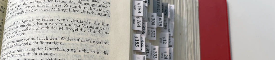 Schmuckgrafik Dürckheim Griffregister